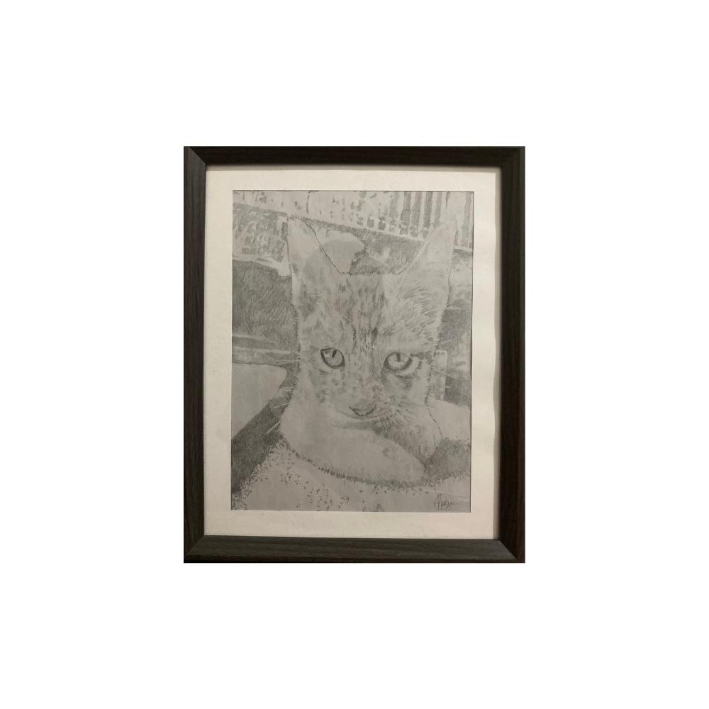Framed Image with Cat Like Figure
